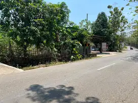 Dijual Tanah 300 Juta Tepi Jl Raya Kedawung Sragen