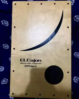 Roland Elcajon Ec-10 Electronic Layered Cajon Dk - 1JTan