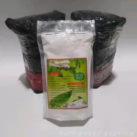 TEPUNG PATI GARUT MURNI