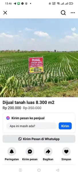 Tanah sawah pinggir jalan besar dijual