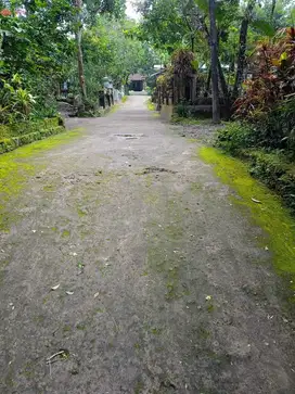 Tanah pekarangan SHM Manisrenggo luas 400m