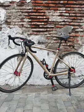 Roadbike dominate rr upgrade