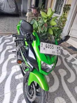 Kawasaki Ninja RR New