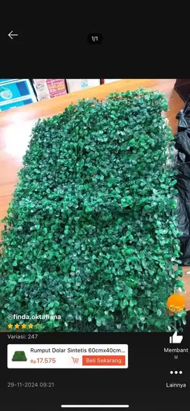 Rumput Dolar Sintetis/Rumput Dinding