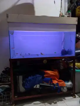 Aquarium full set