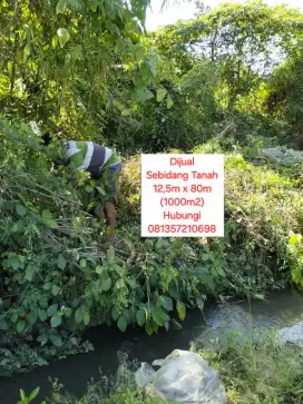 Dijual Tanah Balongbendo