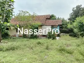 Tanah Murah+Bonus 2 Rumah