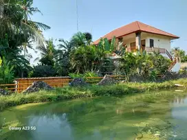 Nego, Villa view jungle dan sawah di Gianyar, Halaman luas