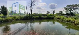 Tanah sawah dan kolam ikan di sawit boyolali