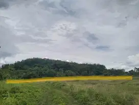 Tanah yang lokasinya dekat IKN