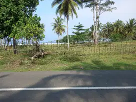 tanah pinggir pantai mandiri krui