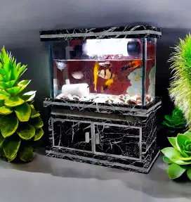 Akuarium Mini Aesthetic Kamar dan Ikan Hias