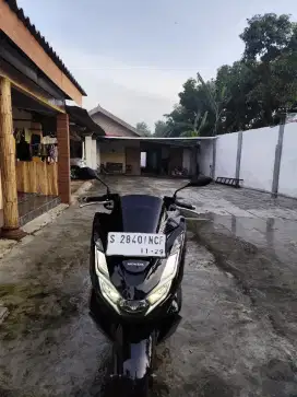 Pcx tahun 2024 plat S Mojokerto