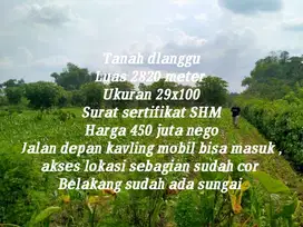 Tanah Dlanggu deket wisata  cocok buat tanam jeruk