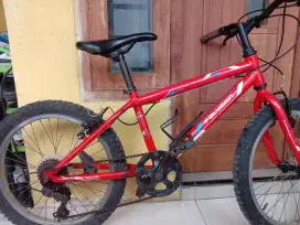 Mtb Polygon Uk. 20 ( Mojokerto )