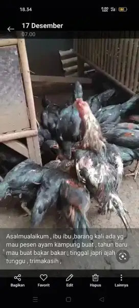 D jual ayam kampung buat bakar2 malam tahun baru