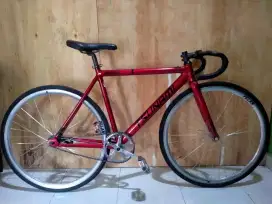 Fixie Custom Tsunami SNM100