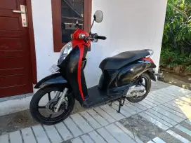 Honda Scoopy 2011