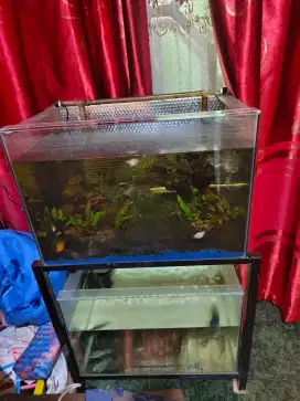 Aquarium + rak 60*40*40