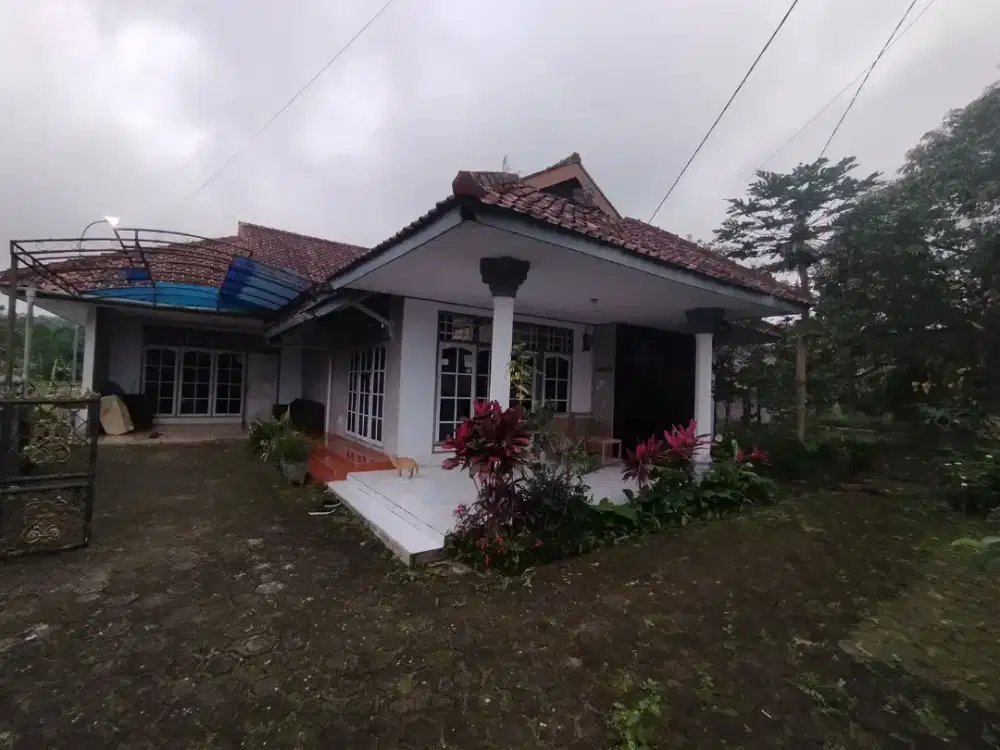 Jual cepatt rumah kamar 4