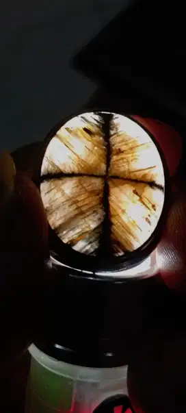 Batu tapak jalak ring perak