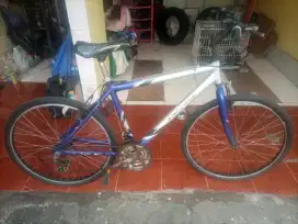 Sepeda MTB Wimcycle 26 Frame ALLOY 18 speed Shimano