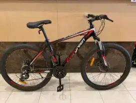 Sepeda Gunung MTB Evergreen 540 26 inch Shiming Index System 11 Speed