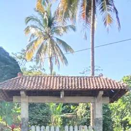 Villa kebun di Wonosalam Jombang, Jatim