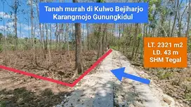 Dijual Tanah Murah di Bejiharjo Karangmojo  Gunungkidul strategis