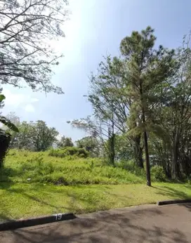 Dijual Tanah Sentul Cluster LT 1597 m2 Jual mMurah Sentul Bogor