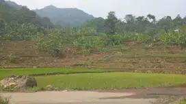 Tanah datar sawah produktif surat SHM sertifikat