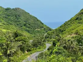 Tanah murah di sewakan atau di kontrakan dekat pantai lancing Lombok