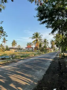 tanah sawah di dekat rs paramedika Ngemplak