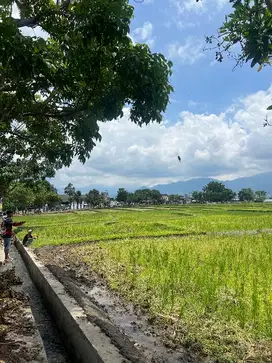 Jual Tanah Pinggir Jalan di Garut Sangat Potensial