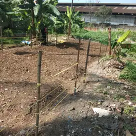 Tanah kosong disewakan