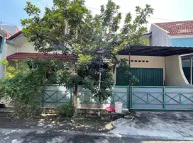 Rumah Bagus Beringin Indah Ngaliyan Semarang Barat