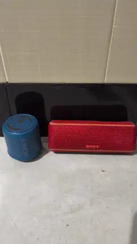 Speaker bluetooth Sony srs xb21