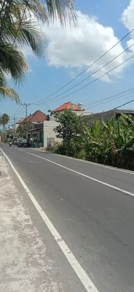 Tanah Komersial dijalan Utama Tumbak Bayuh, Canggu