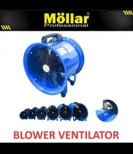 Blower ventilator