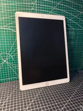 Ipad Pro 2017 12,9 Inch