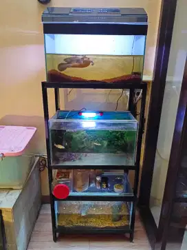 Jual Aquarium Susun 3