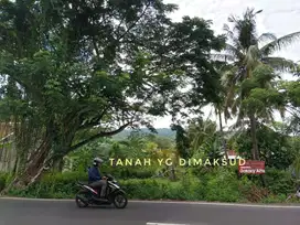 Di Jual Tanah SHMP diTemukus,Buleleng, Denpasar dekat pantai LOVINA