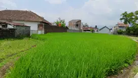 Dijual Tanah Pancuranmas, Area Perumahan 2 Menit Kota Magelang