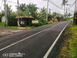 TANAH LANGKA PINGGIR Jalan UTama ubud dkt alila resort ayung resort