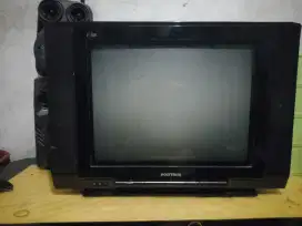 Tv Polytron 21in