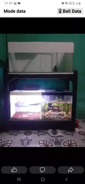 Aquarium/akuarium