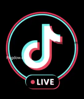 Talent host live dan streaming