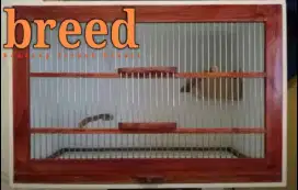 Kandang Ternak Kenari, Blackstroat, red siskin, bisa bongkar pasang