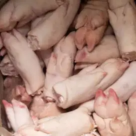 Ceker bbabi non halal