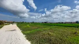 tanah kontrak BUC murah di central Seminyak